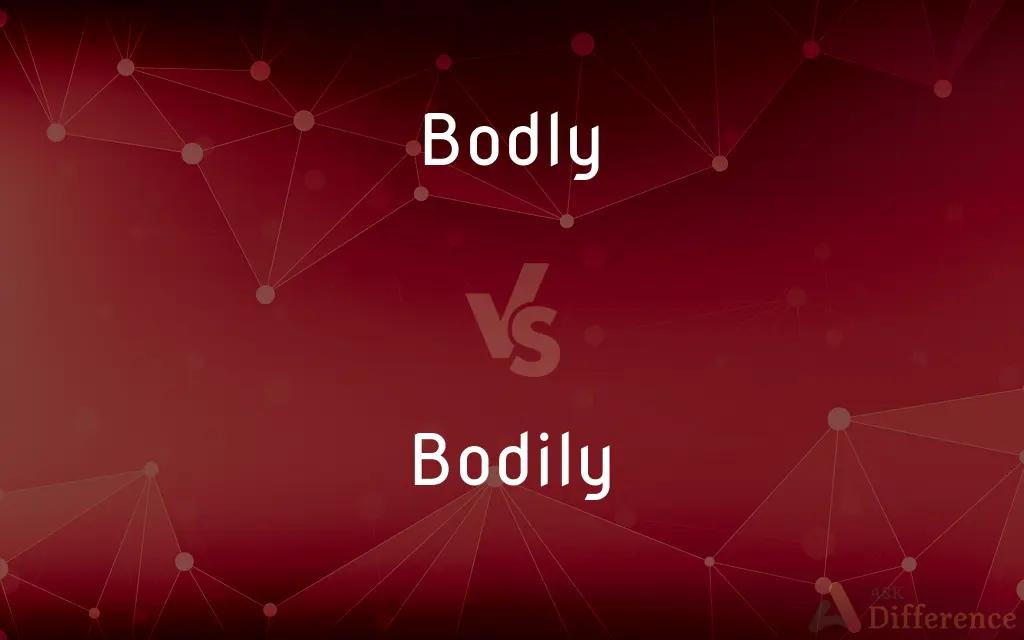 Bodly vs. Bodily — Which is Correct Spelling?