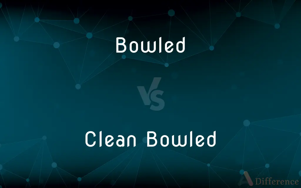 Bowled vs. Clean Bowled — What's the Difference?