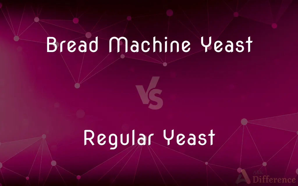 Bread Machine Yeast vs. Regular Yeast — What’s the Difference?