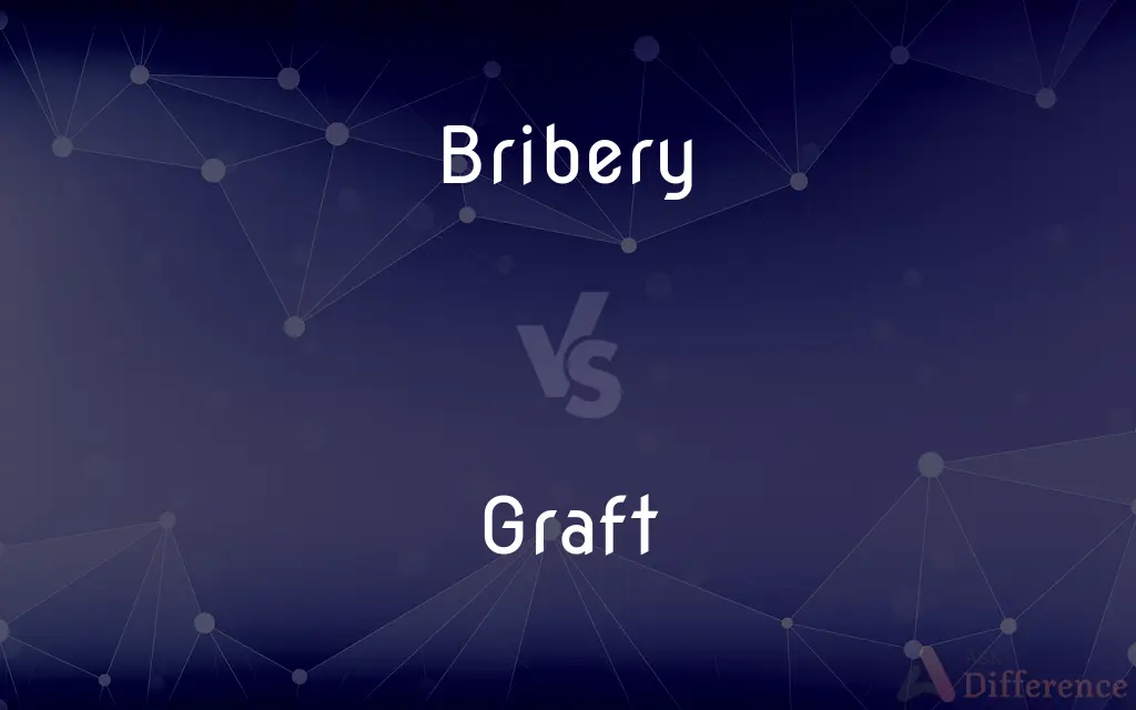 Bribery vs. Graft — What's the Difference?