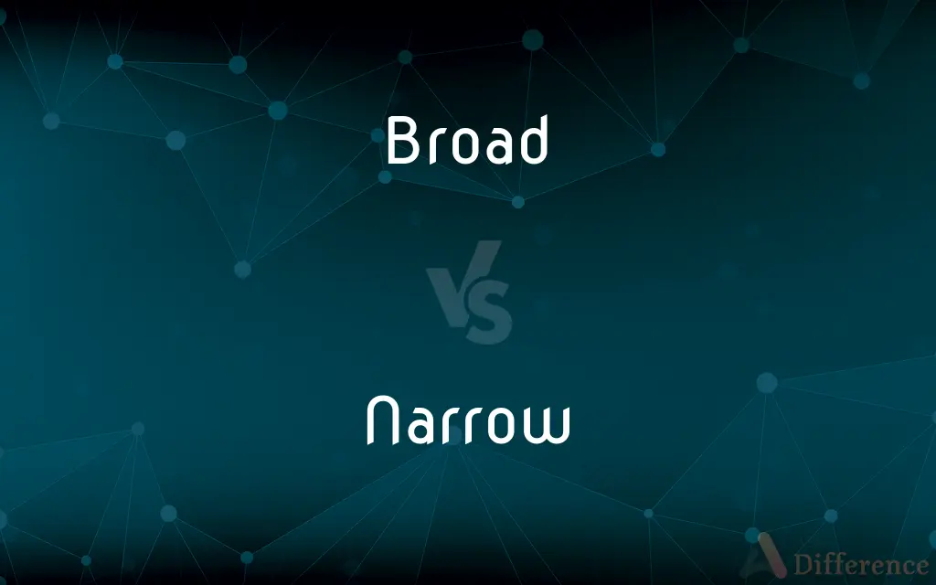 Broad Vs Narrow What s The Difference 