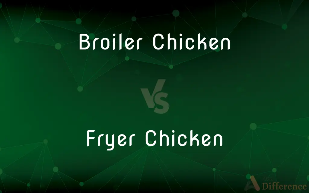 Broiler Chicken vs. Fryer Chicken — What's the Difference?