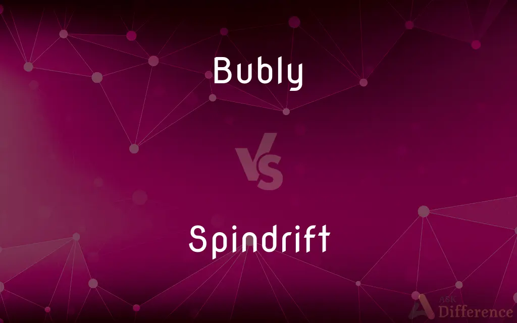 Bubly vs. Spindrift — What's the Difference?