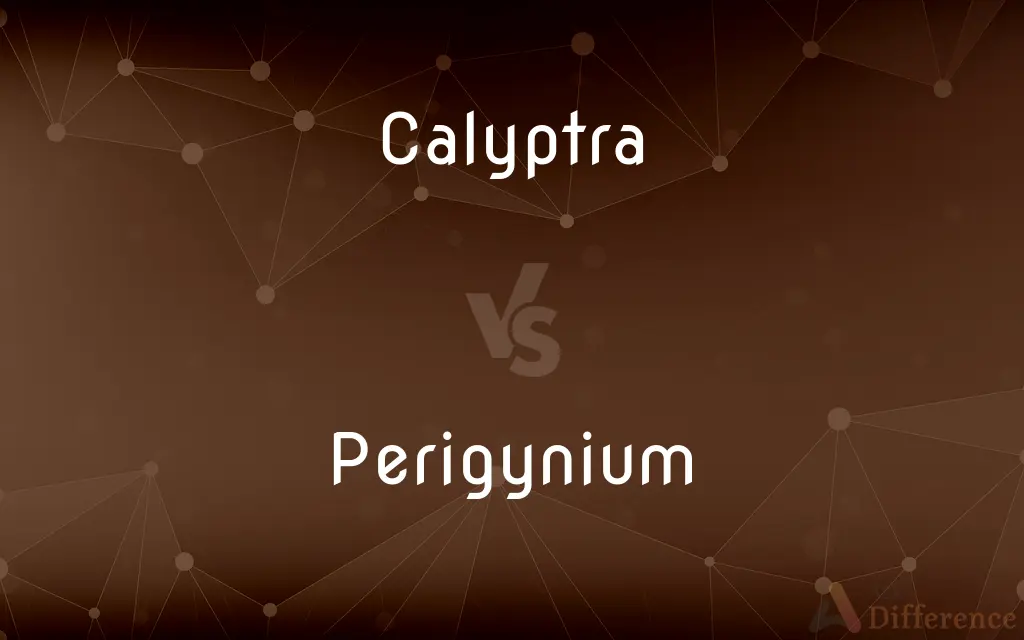 Calyptra vs. Perigynium — What's the Difference?