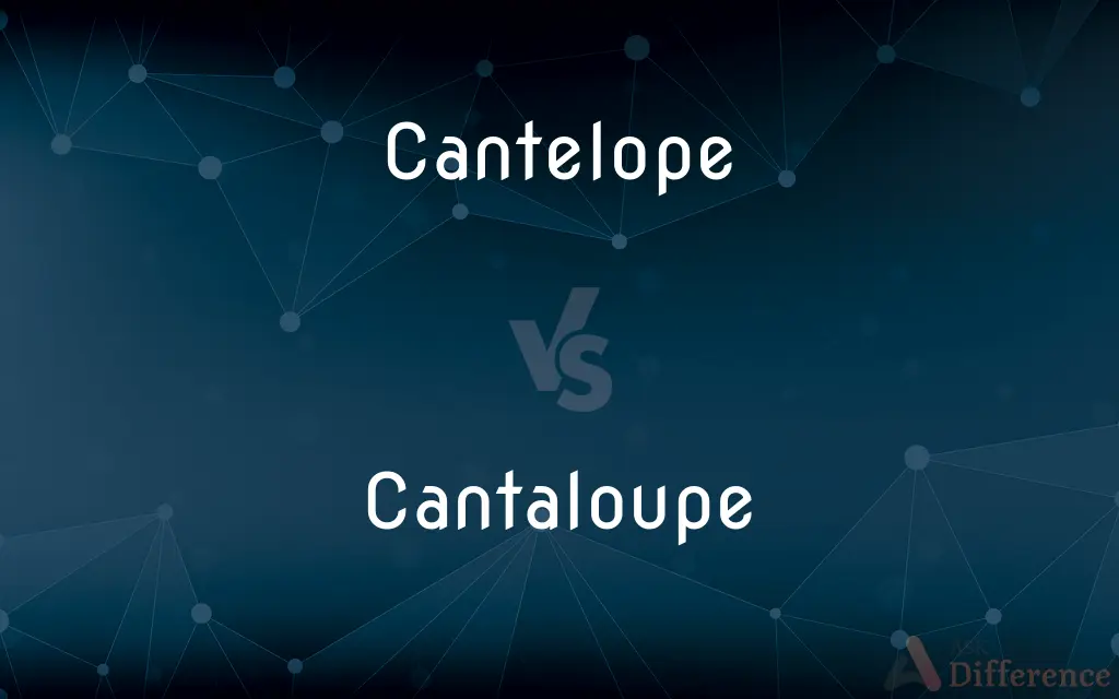 Cantelope vs. Cantaloupe — Which is Correct Spelling?