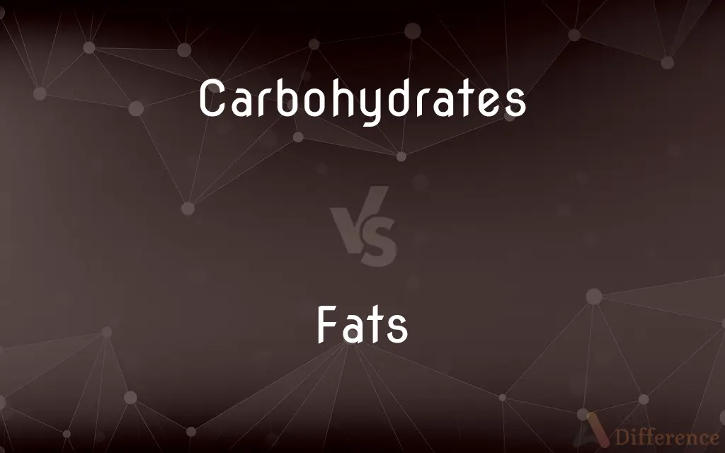 Carbohydrates Vs Fats — Whats The Difference 2266