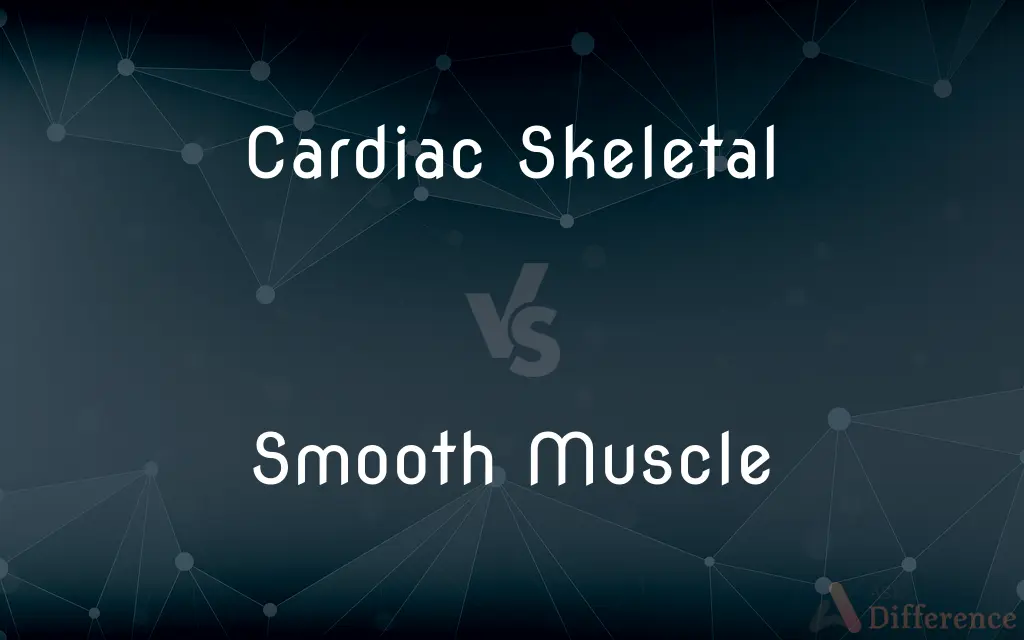 Cardiac Skeletal vs. Smooth Muscle — What's the Difference?