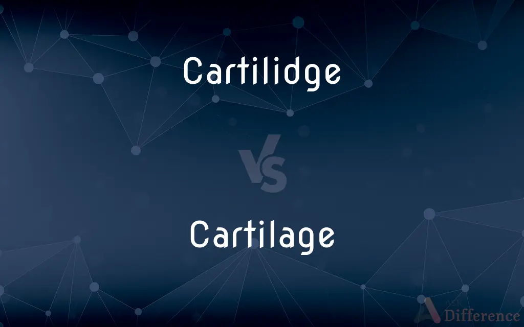 Cartilidge vs. Cartilage — Which is Correct Spelling?