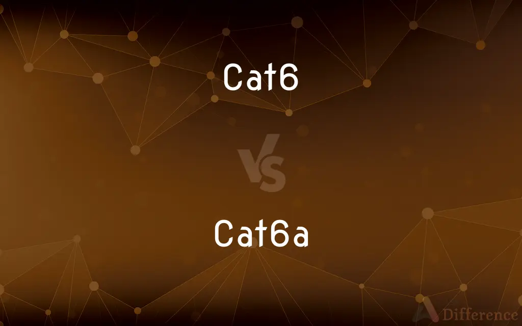 Cat6 vs. Cat6a — What's the Difference?