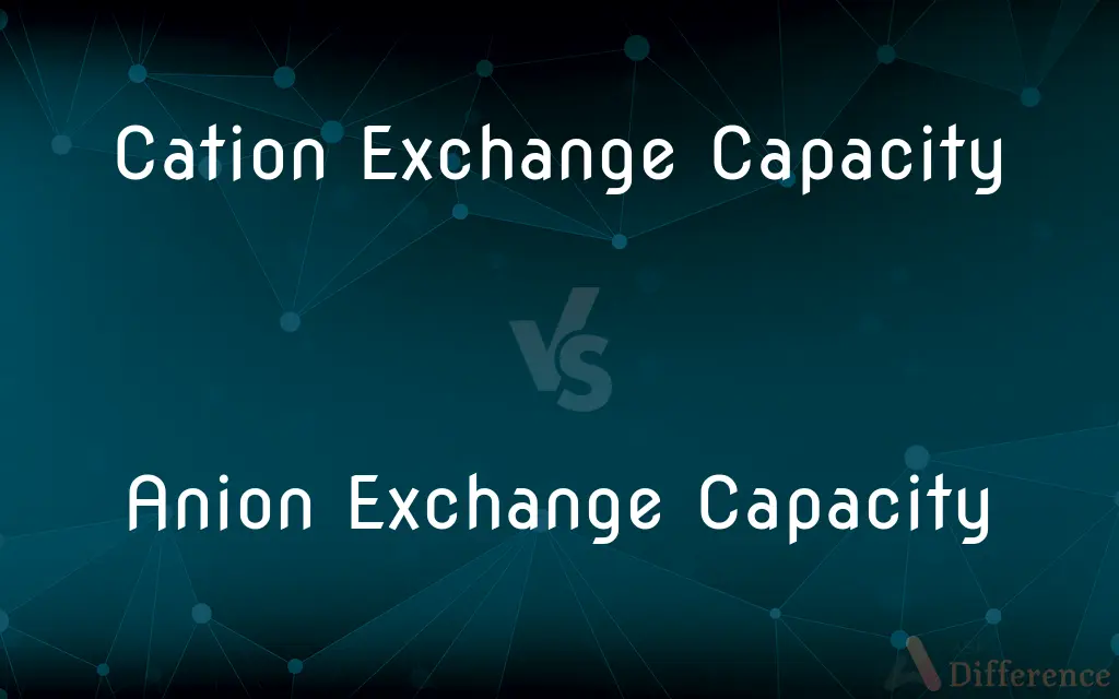 Cation Exchange Capacity vs. Anion Exchange Capacity — What's the Difference?