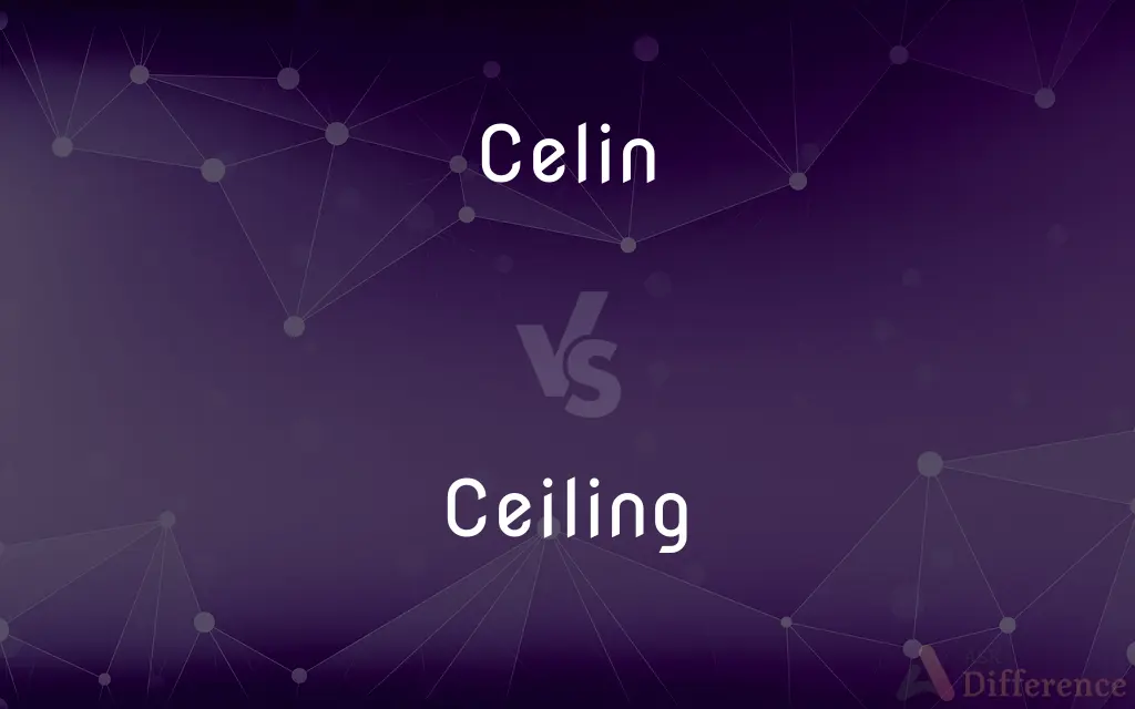 Celin vs. Ceiling — Which is Correct Spelling?