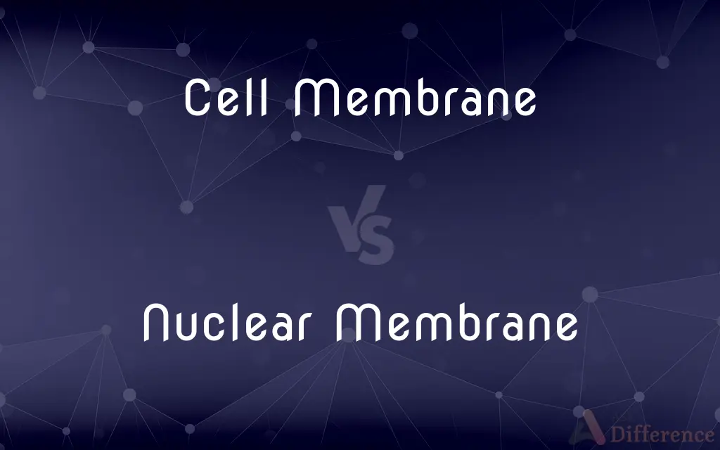 Cell Membrane vs. Nuclear Membrane — What's the Difference?