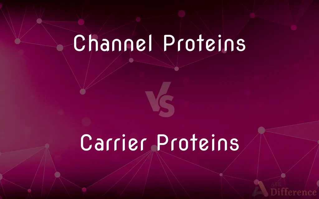 Channel Proteins vs. Carrier Proteins — What's the Difference?