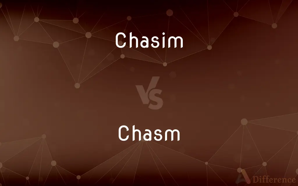 Chasim vs. Chasm — Which is Correct Spelling?