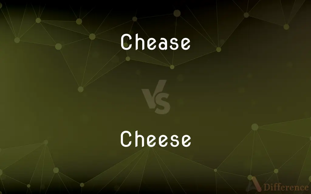 Chease vs. Cheese — Which is Correct Spelling?