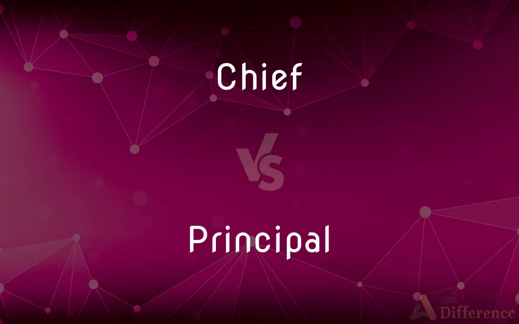 Chief vs. Principal — What's the Difference?