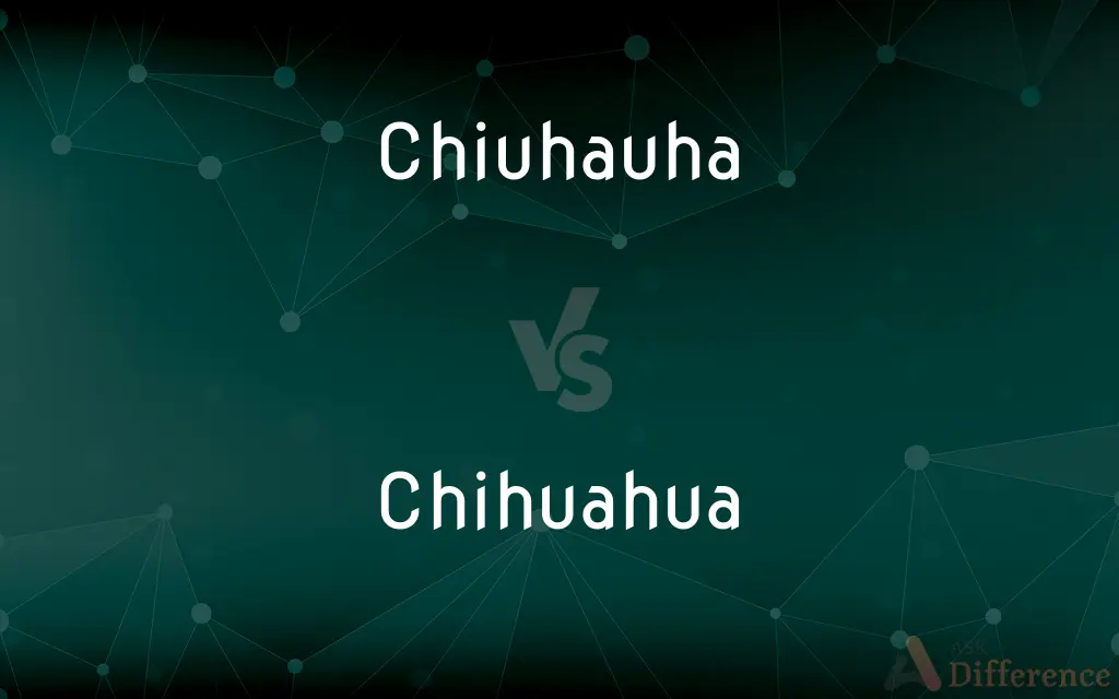 Chiuhauha vs. Chihuahua — Which is Correct Spelling?