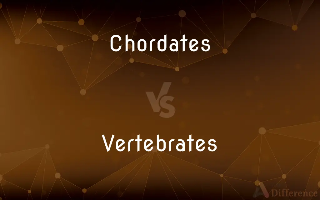 Chordates vs. Vertebrates — What's the Difference?