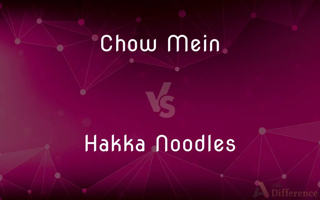 Chow Mein vs. Hakka Noodles — What's the Difference?