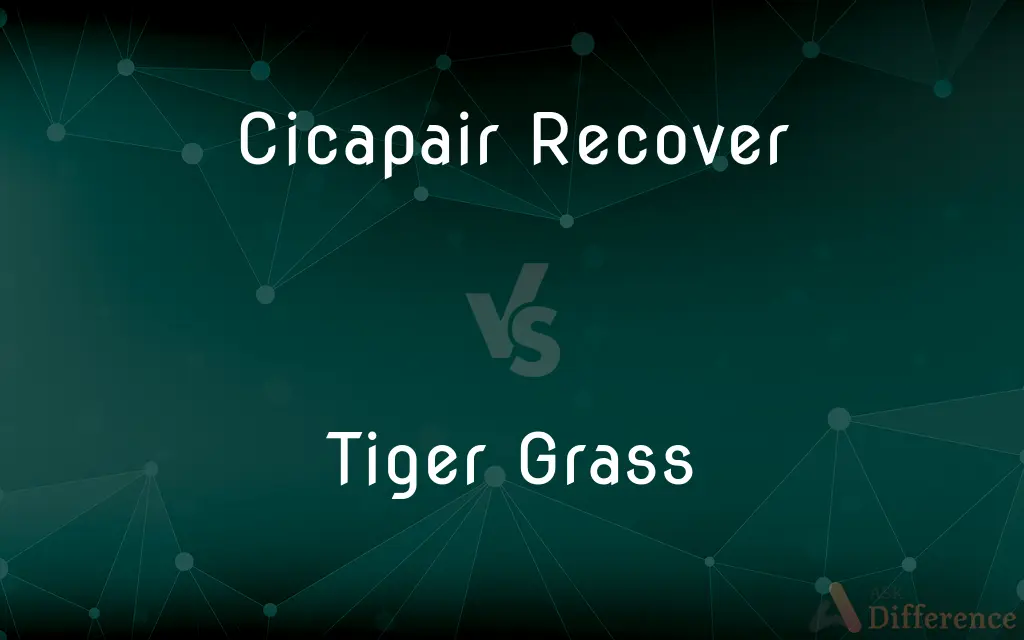 Cicapair Recover vs. Tiger Grass — What's the Difference?