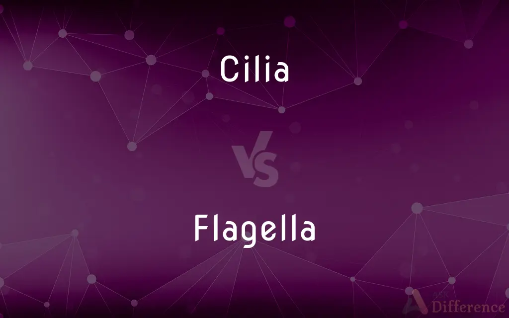 Cilia vs. Flagella — What's the Difference?