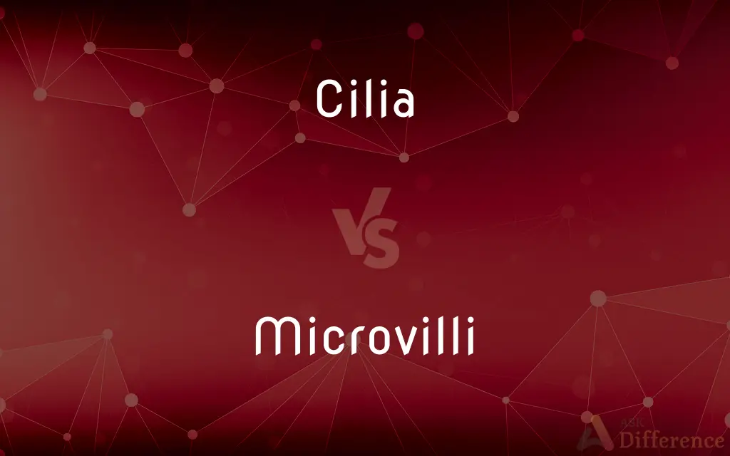 Cilia vs. Microvilli — What's the Difference?