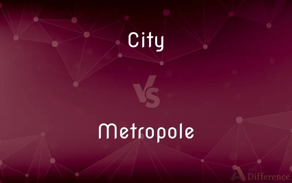 City vs. Metropole — What's the Difference?