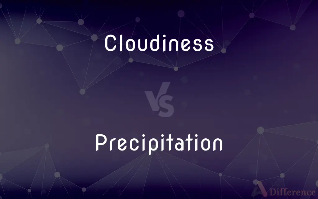 Cloudiness vs. Precipitation — What's the Difference?