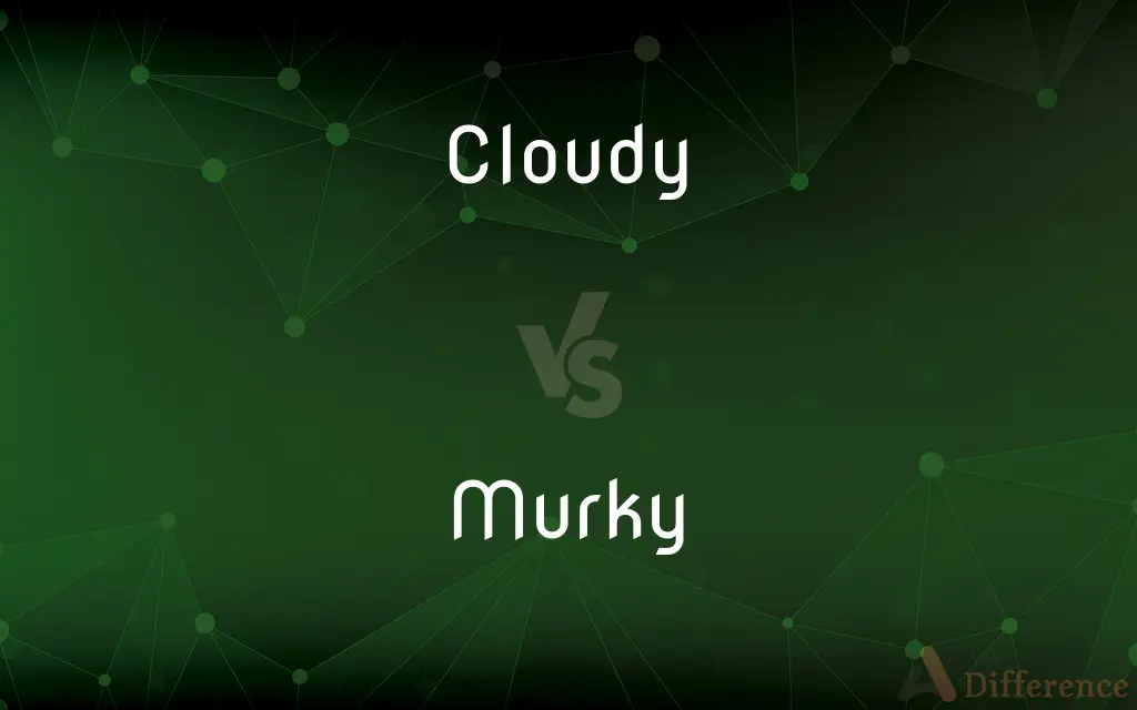 Cloudy vs. Murky — What's the Difference?