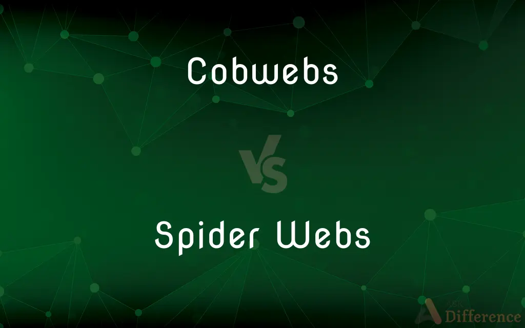 Cobwebs vs. Spider Webs — What's the Difference?