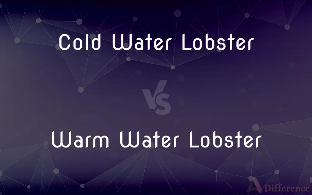 Cold Water Lobster vs. Warm Water Lobster — What's the Difference?