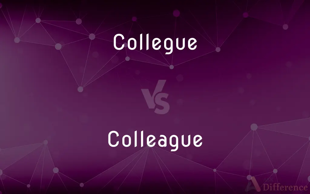 Collegue vs. Colleague — Which is Correct Spelling?