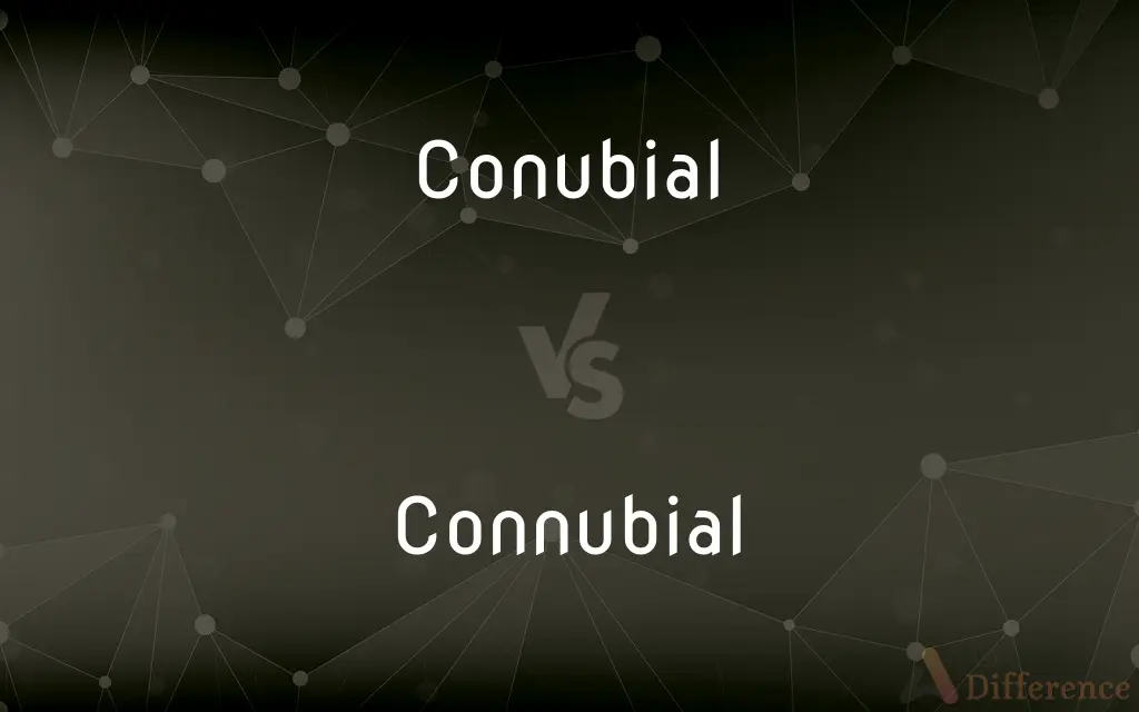Conubial vs. Connubial — Which is Correct Spelling?