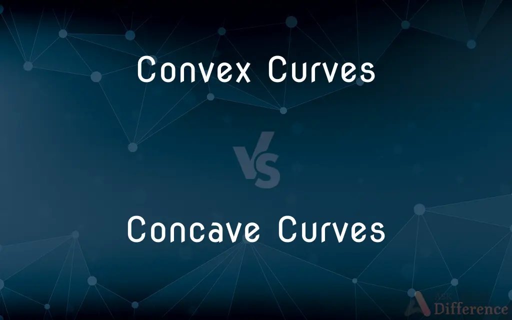 Convex Curves vs. Concave Curves — What's the Difference?