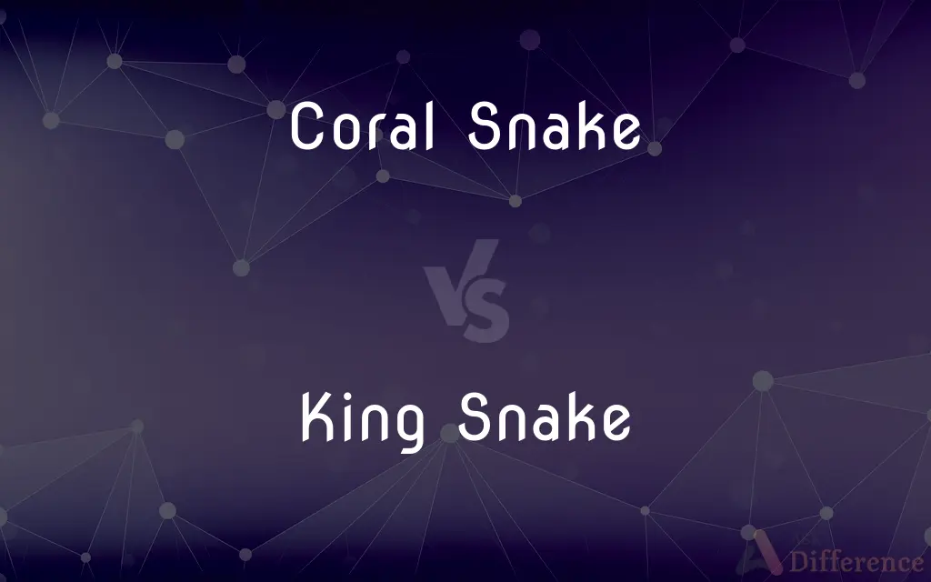Coral Snake vs. King Snake — What's the Difference?