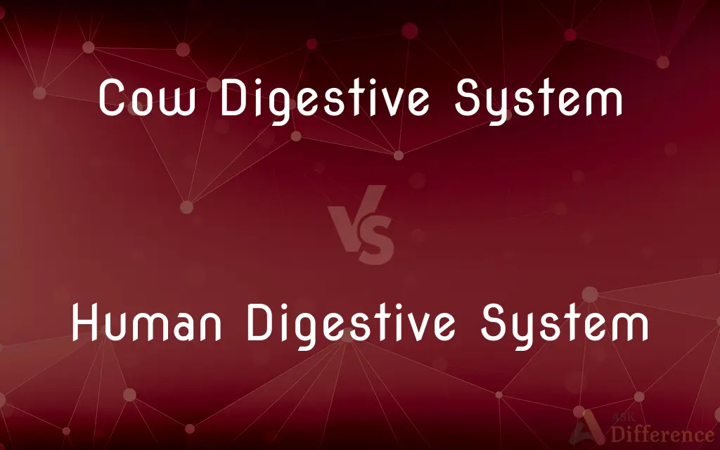 Cow Digestive System vs. Human Digestive System — What's the Difference?
