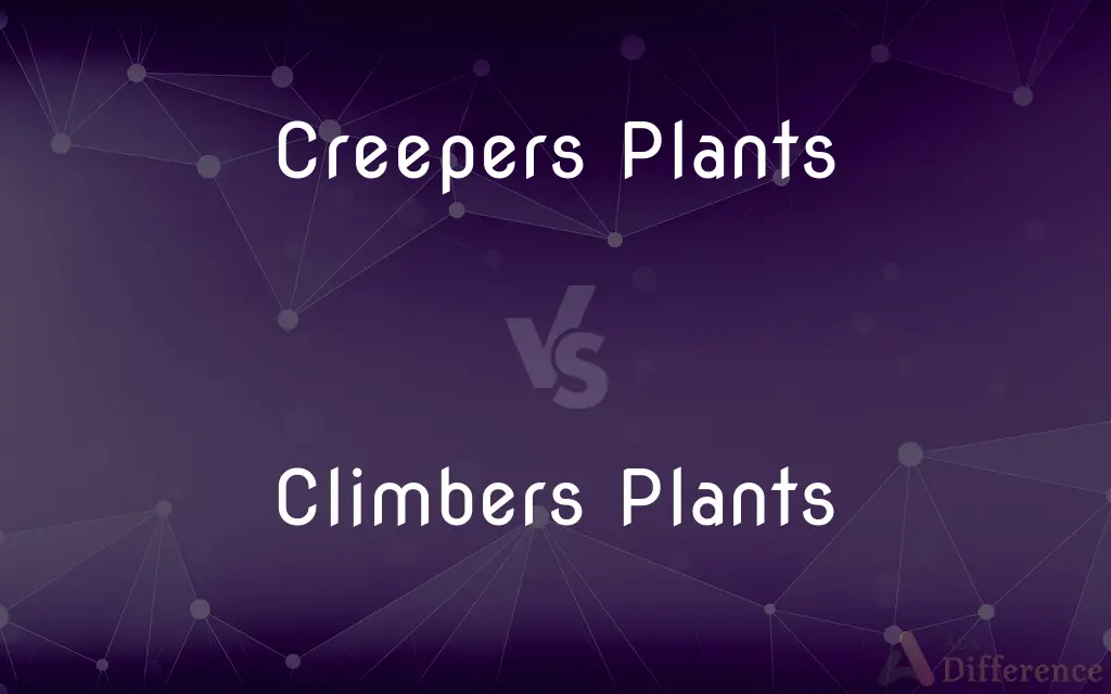 Creepers Plants vs. Climbers Plants — What’s the Difference?