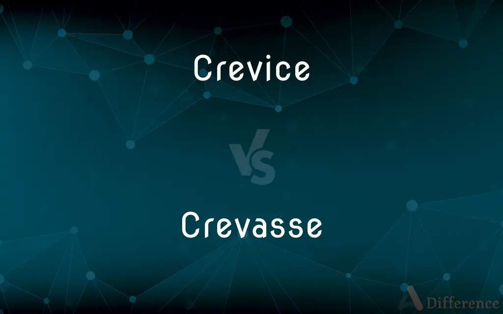 Crevice vs. Crevasse — What's the Difference?