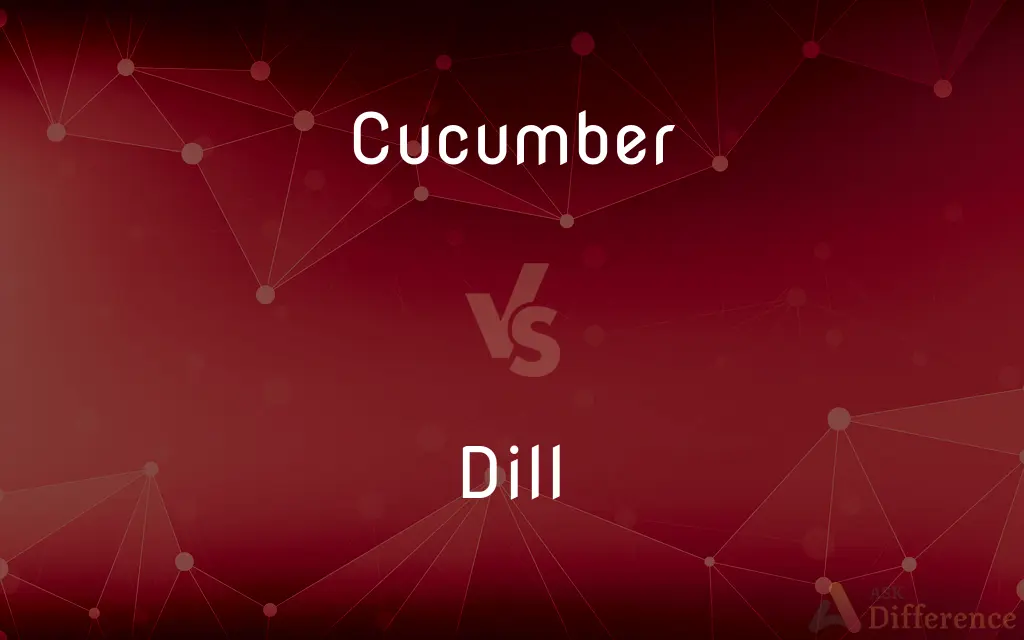 Cucumber vs. Dill — What's the Difference?