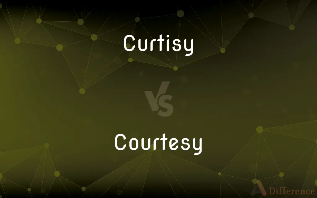 Curtisy vs. Courtesy — Which is Correct Spelling?