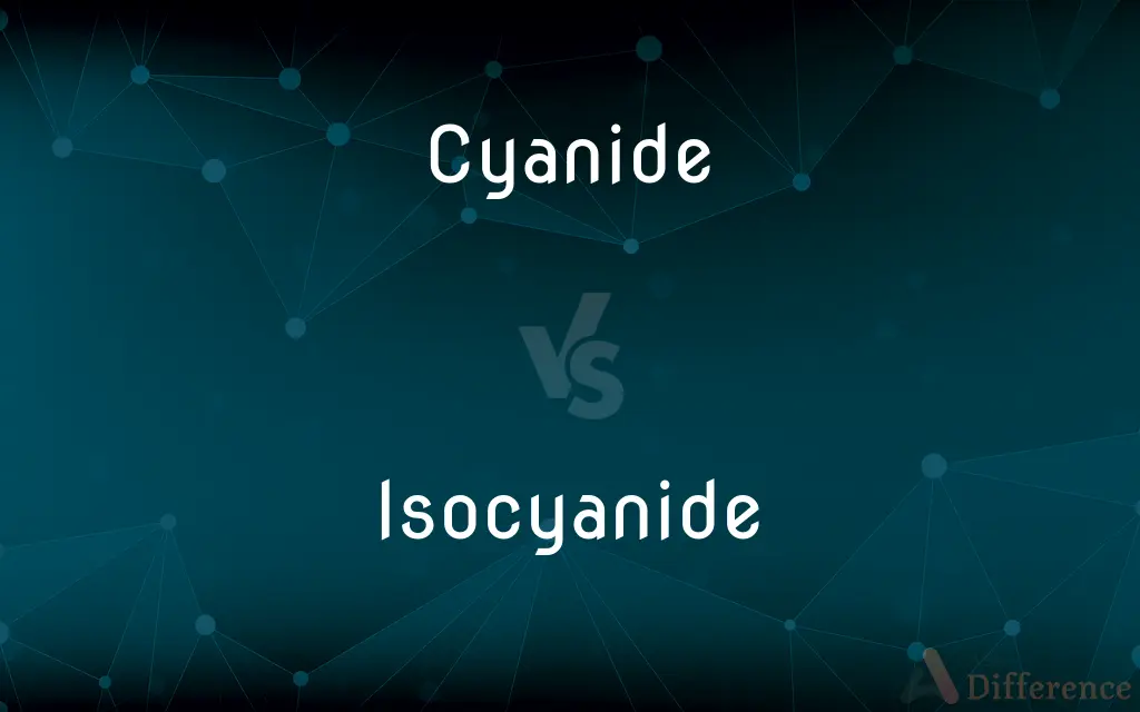 Cyanide vs. Isocyanide — What's the Difference?