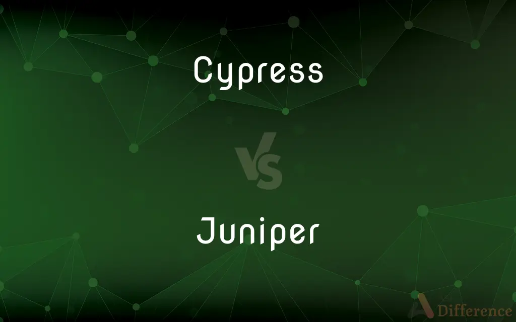 Cypress vs. Juniper — What's the Difference?