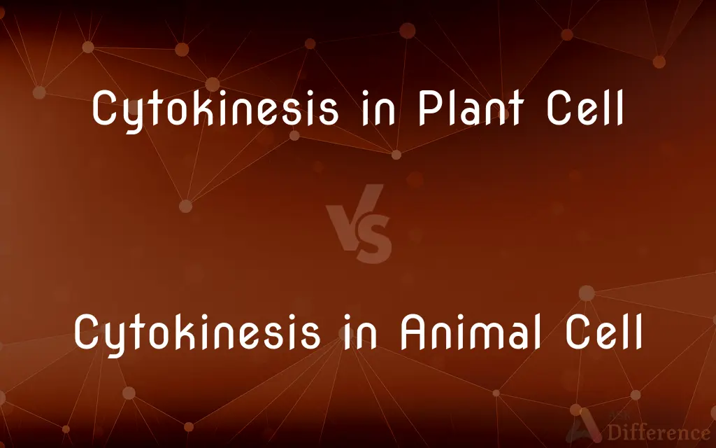 Cytokinesis in Plant Cell vs. Cytokinesis in Animal Cell — What's the Difference?