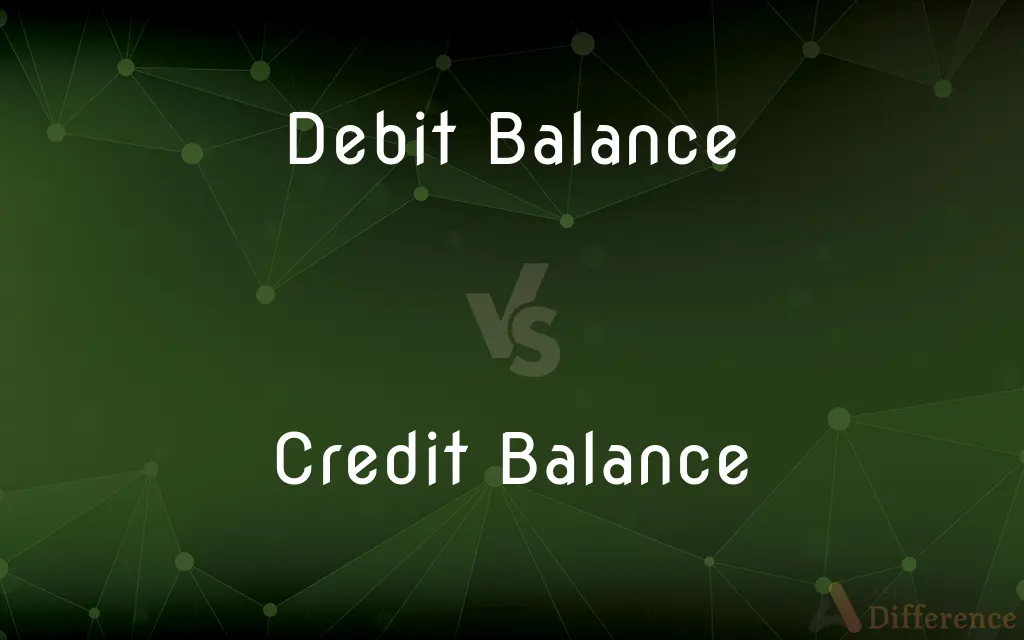 debit balance and credit balance meaning