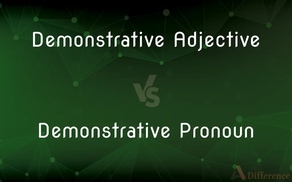 difference-between-demonstrative-adjective-and-demonstrative-pronoun