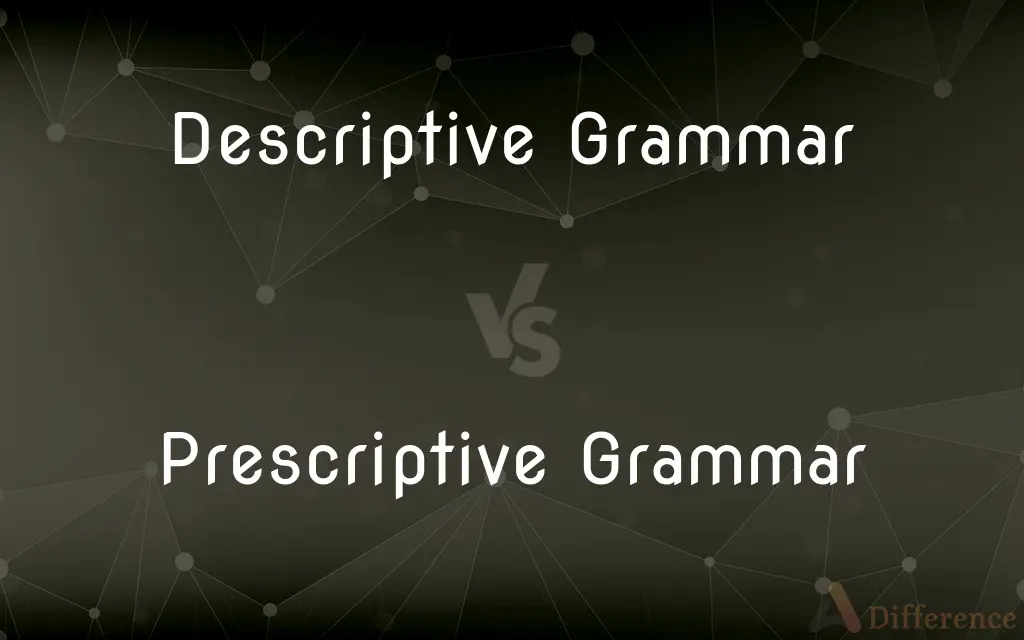 Descriptive Grammar vs Prescriptive Grammar What s the Difference 