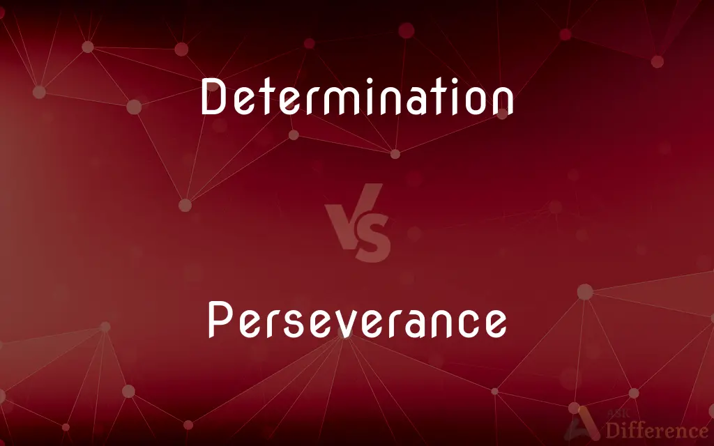 Determination vs. Perseverance — What's the Difference?