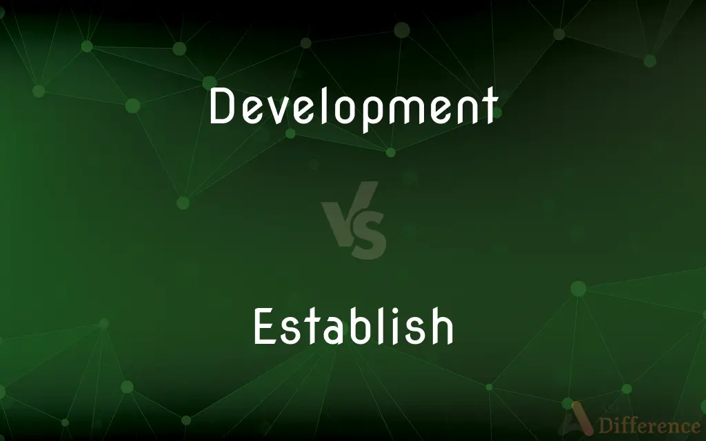 Development vs. Establish — What's the Difference?