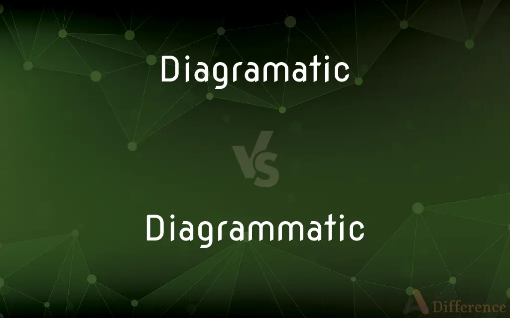 Diagramatic vs. Diagrammatic — Which is Correct Spelling?