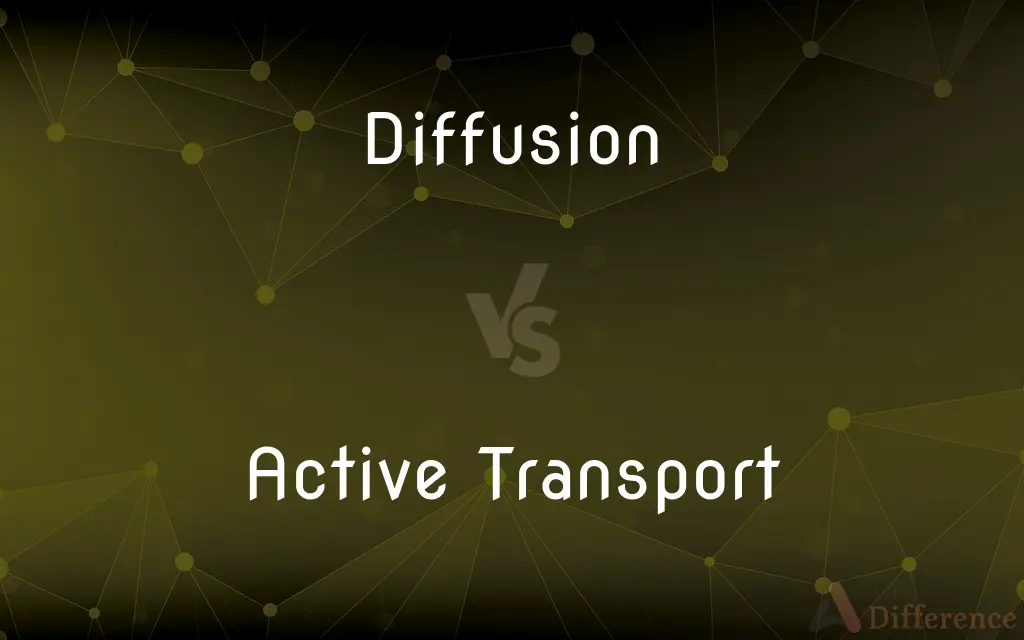 Diffusion vs. Active Transport — What's the Difference?